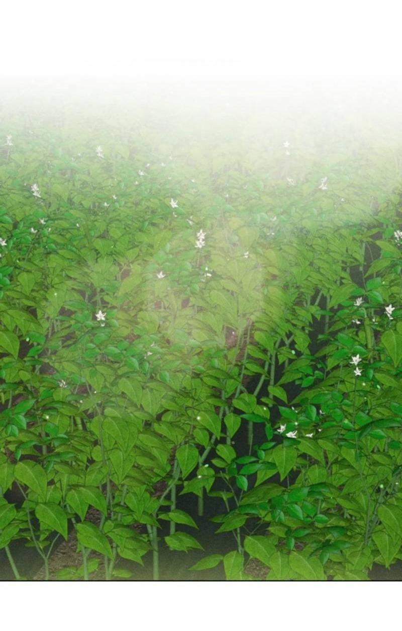 Манга Парень с перечного поля - Глава 9 Страница 31