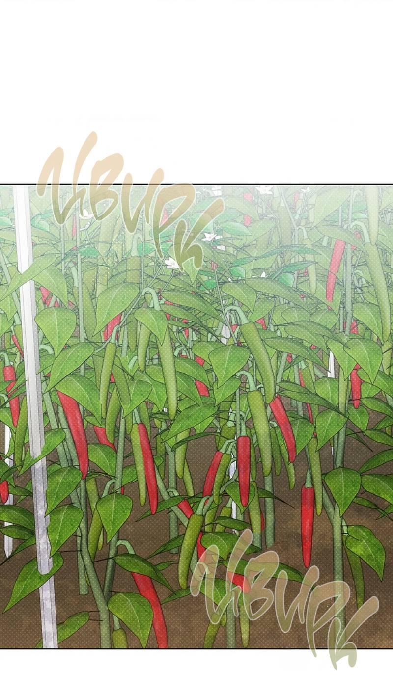 Манга Парень с перечного поля - Глава 18 Страница 1