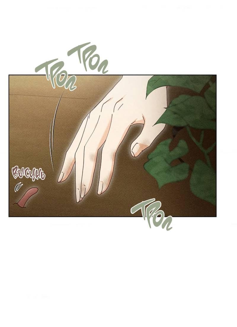 Манга Парень с перечного поля - Глава 15 Страница 5