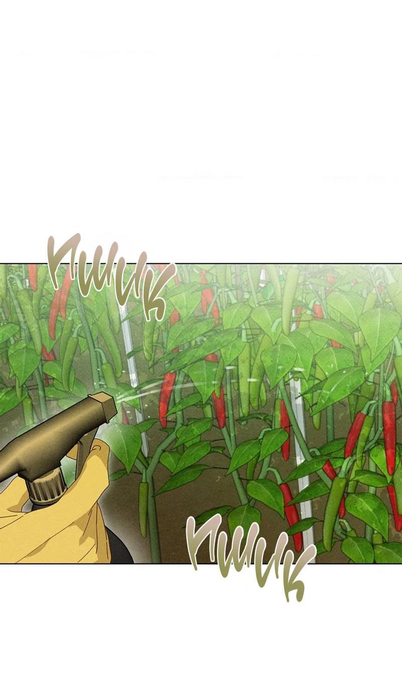 Манга Парень с перечного поля - Глава 21 Страница 46