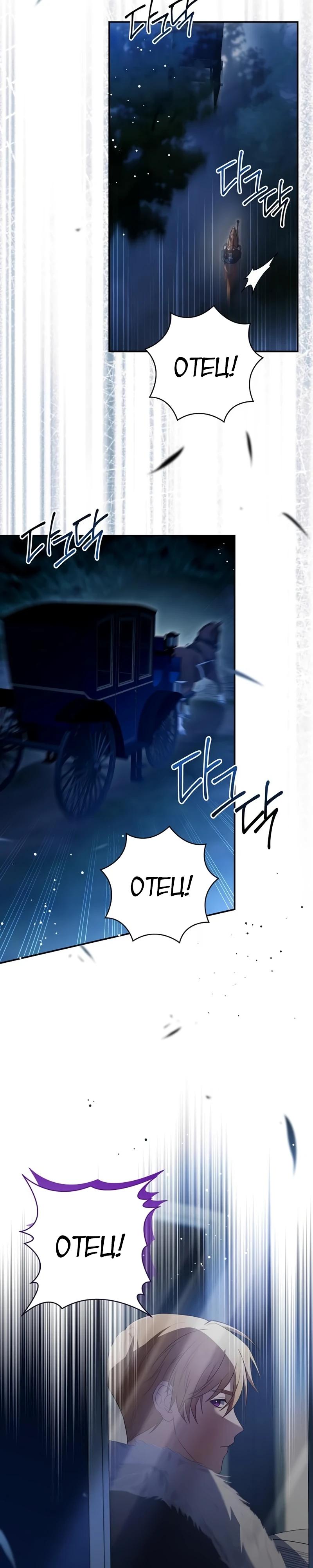 Манга Младшая дочь великого мага из известной семьи фехтовальщиков - Глава 13 Страница 17