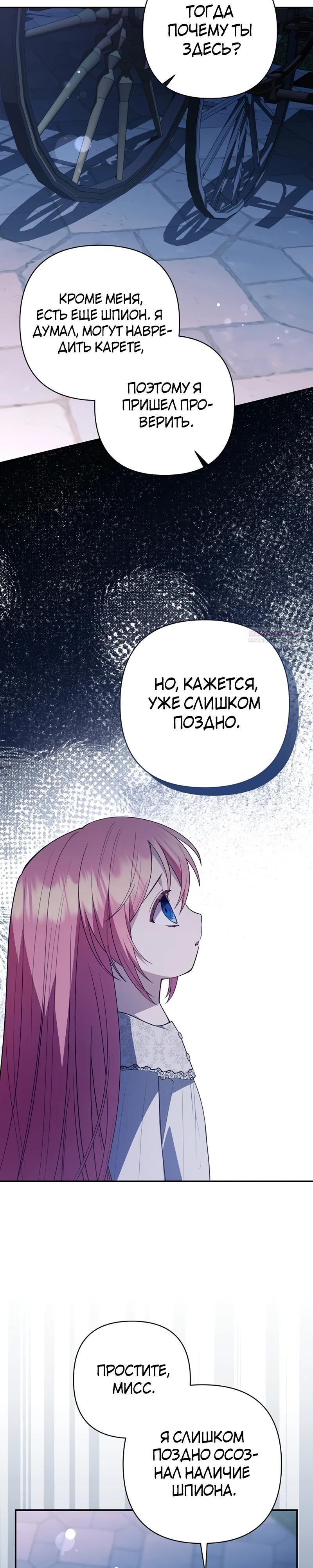 Манга Младшая дочь великого мага из известной семьи фехтовальщиков - Глава 12 Страница 26