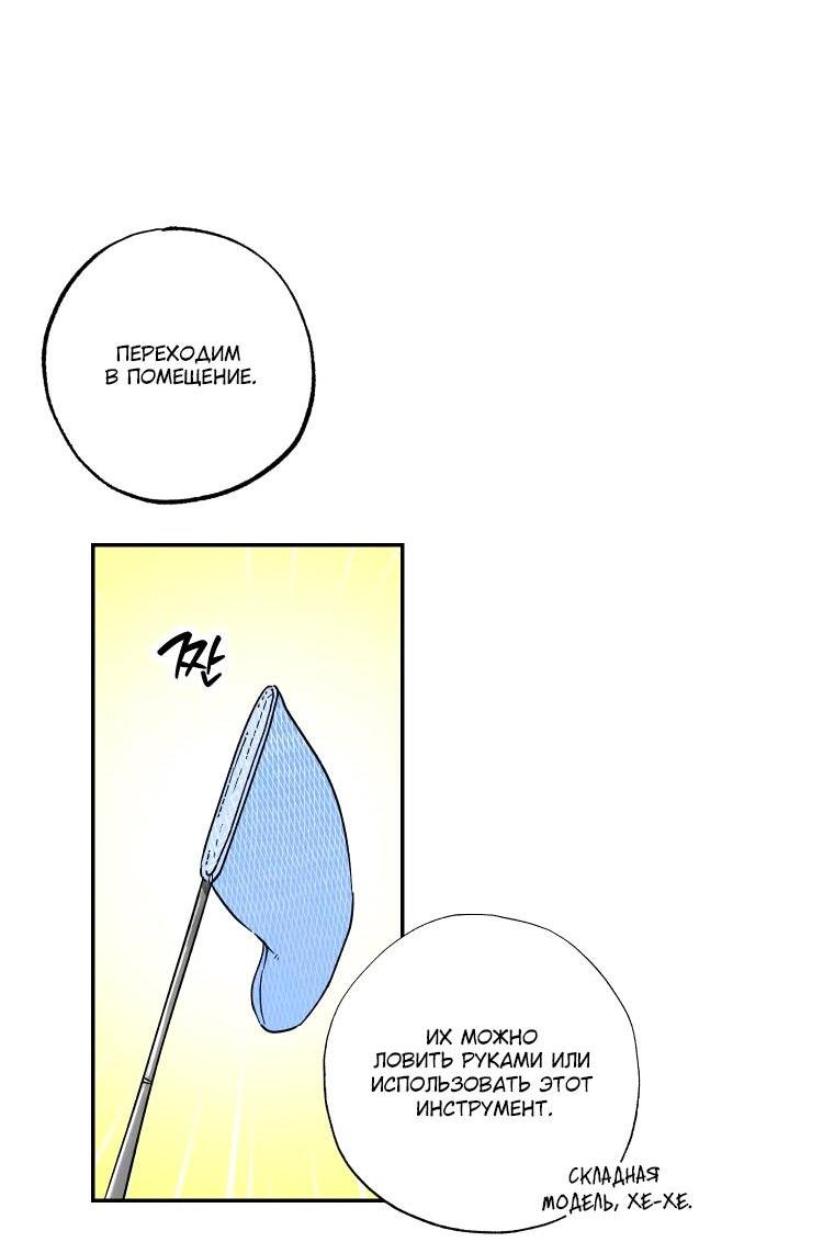 Манга Дорога снов - Глава 2 Страница 17