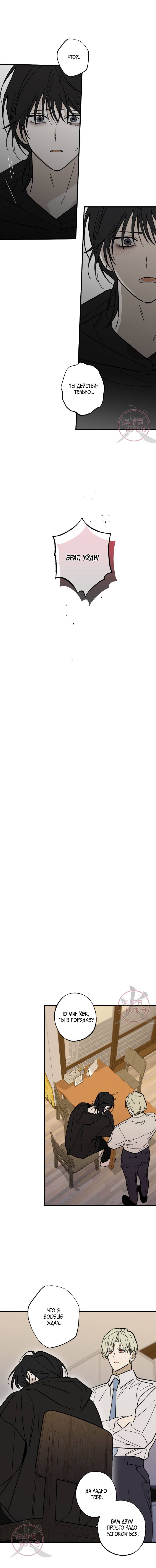 Манга Свидетельство о семейных отношениях - Глава 13 Страница 8