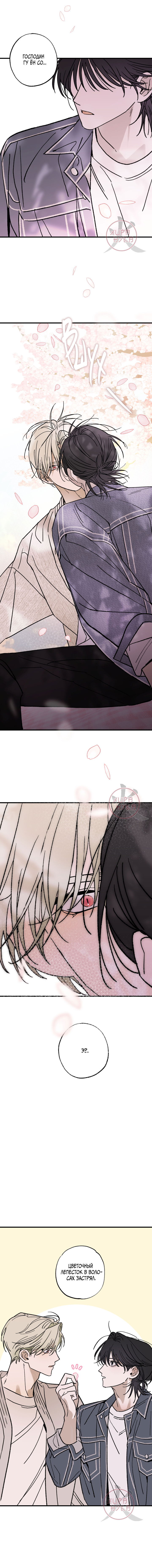 Манга Свидетельство о семейных отношениях - Глава 9 Страница 13