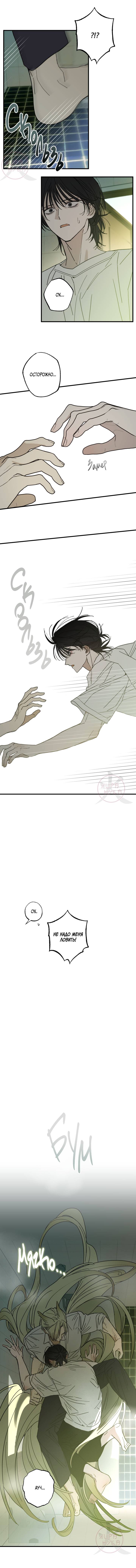 Манга Свидетельство о семейных отношениях - Глава 7 Страница 5