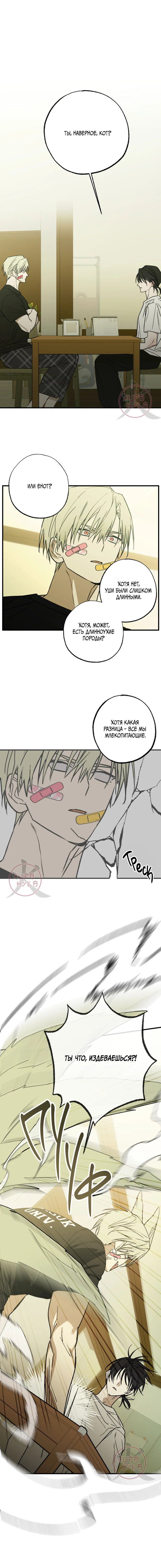 Манга Свидетельство о семейных отношениях - Глава 4 Страница 1