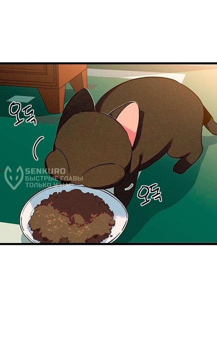 Манга Девушки зодиака - Глава 13 Страница 37