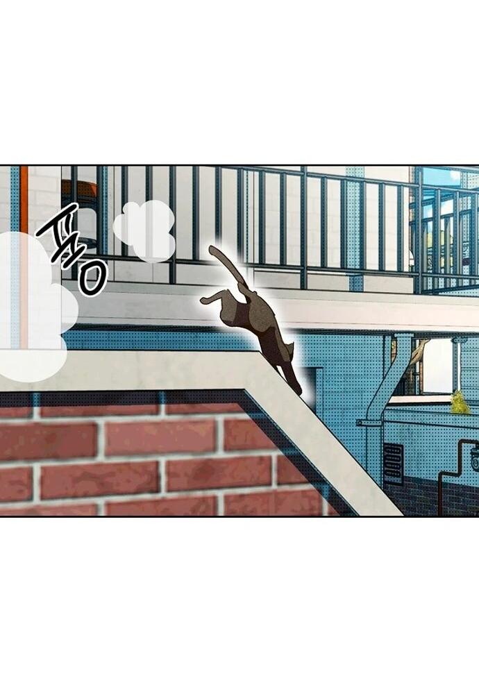 Манга Девушки зодиака - Глава 5 Страница 58