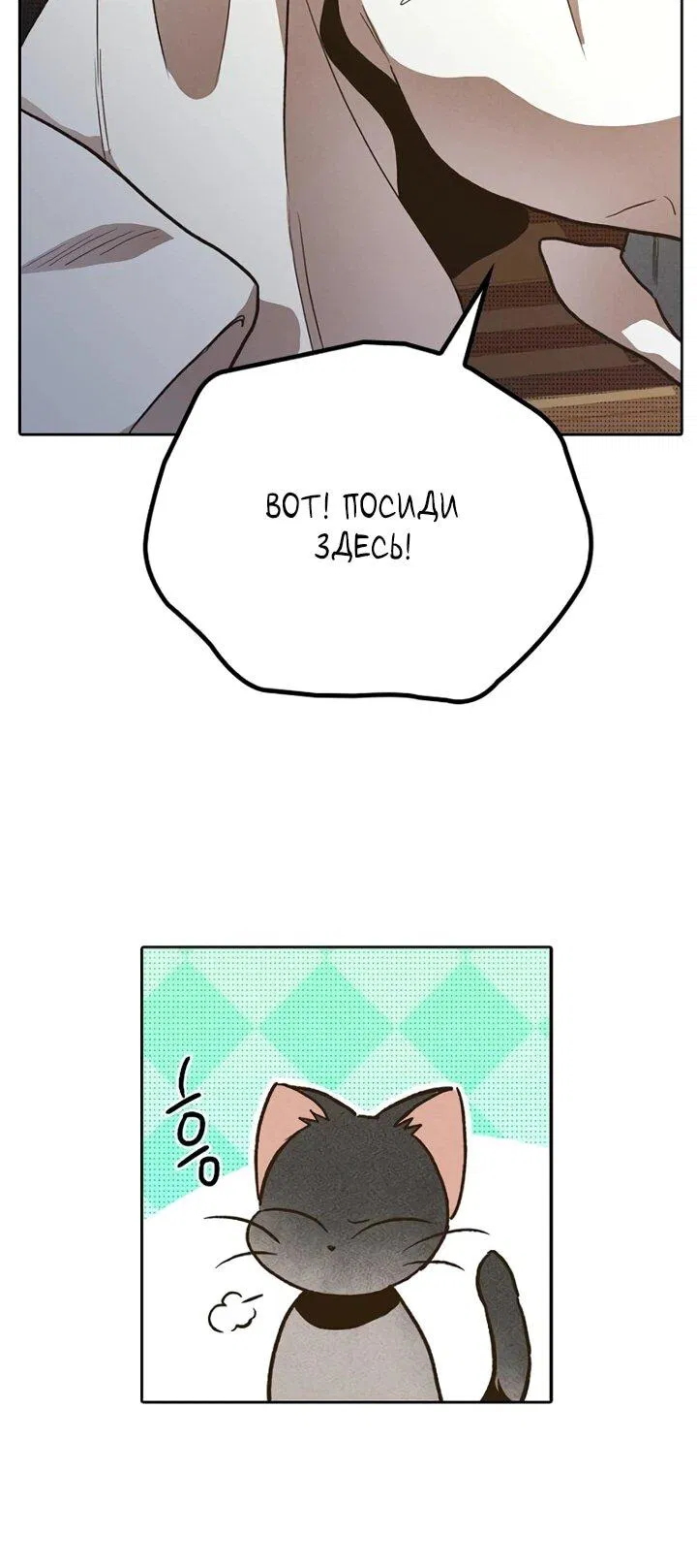 Манга Девушки зодиака - Глава 2 Страница 22