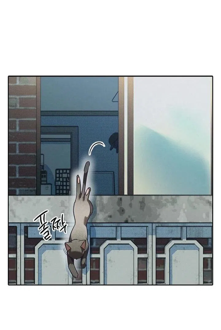 Манга Девушки зодиака - Глава 2 Страница 47