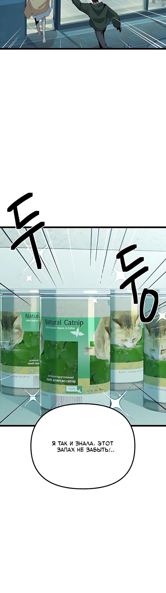 Манга Девушки зодиака - Глава 21 Страница 32