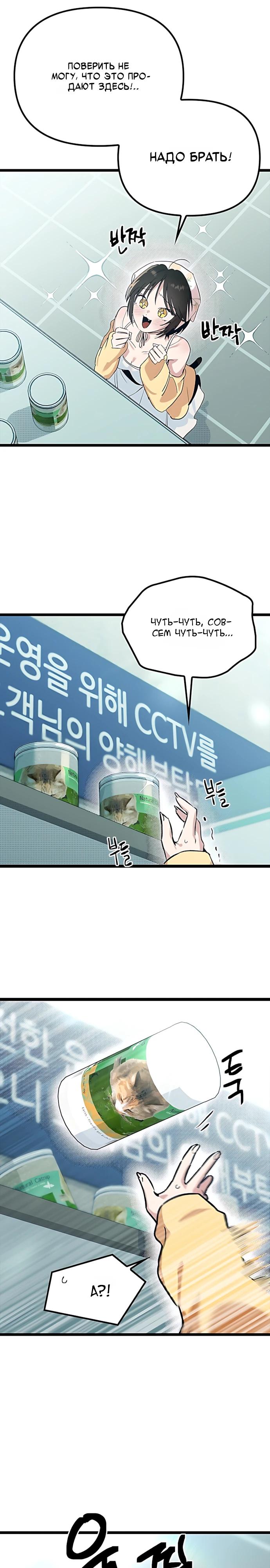 Манга Девушки зодиака - Глава 21 Страница 33