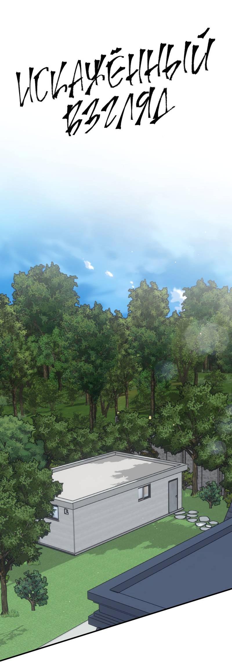 Манга Искажённый взгляд - Глава 6 Страница 36