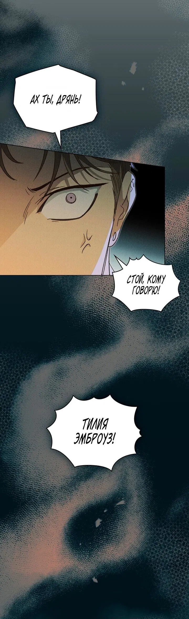 Манга Бабочка, проглотившая туман - Глава 13 Страница 17