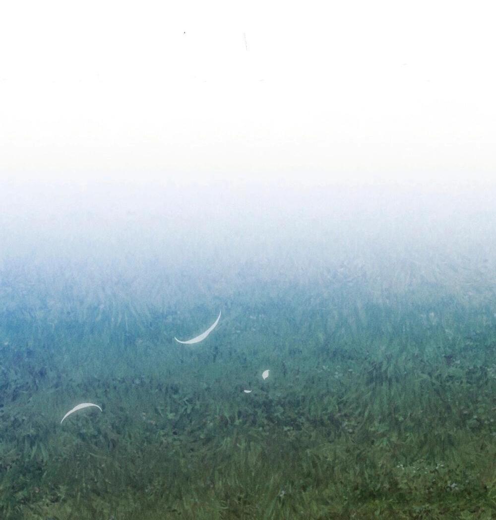 Манга Бабочка, проглотившая туман - Глава 31 Страница 16