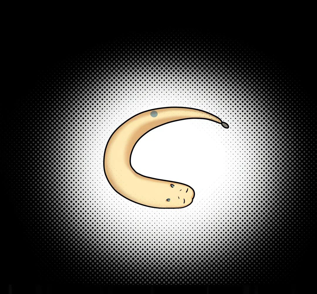 Манга Температура цветения белого лотоса - Глава 20 Страница 40