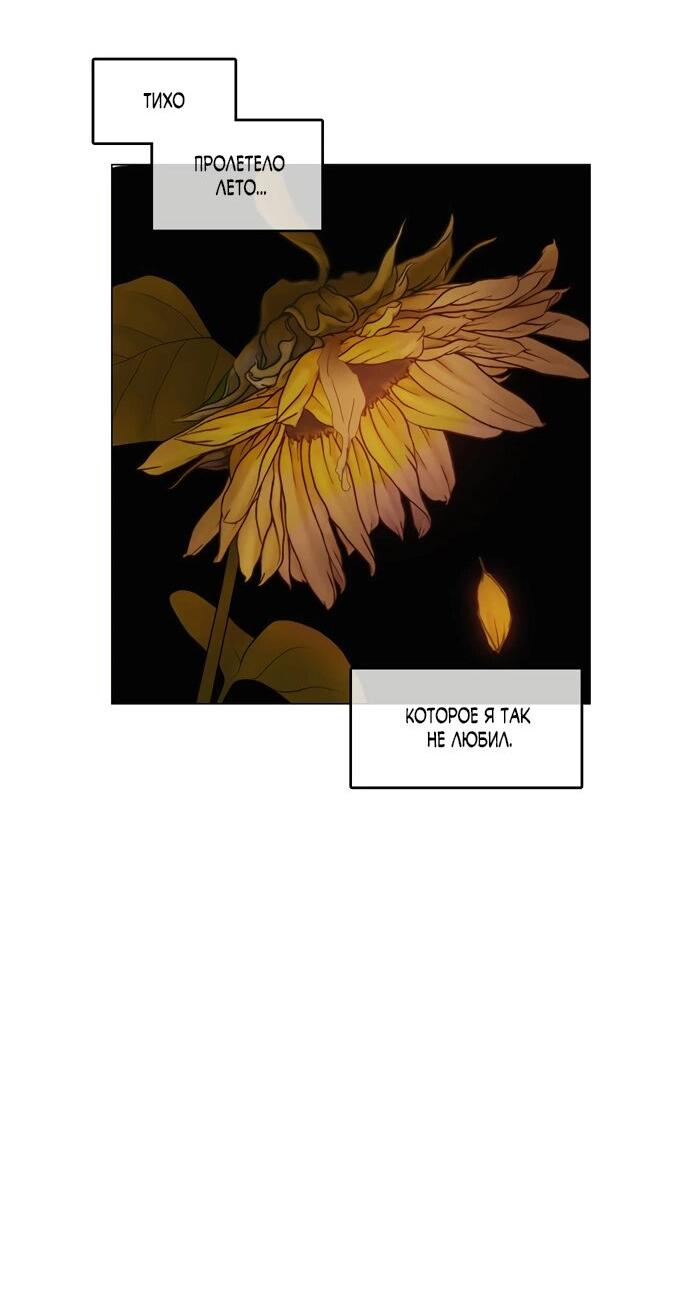Манга В сезон, когда подсолнухи шепчут - Глава 14 Страница 24