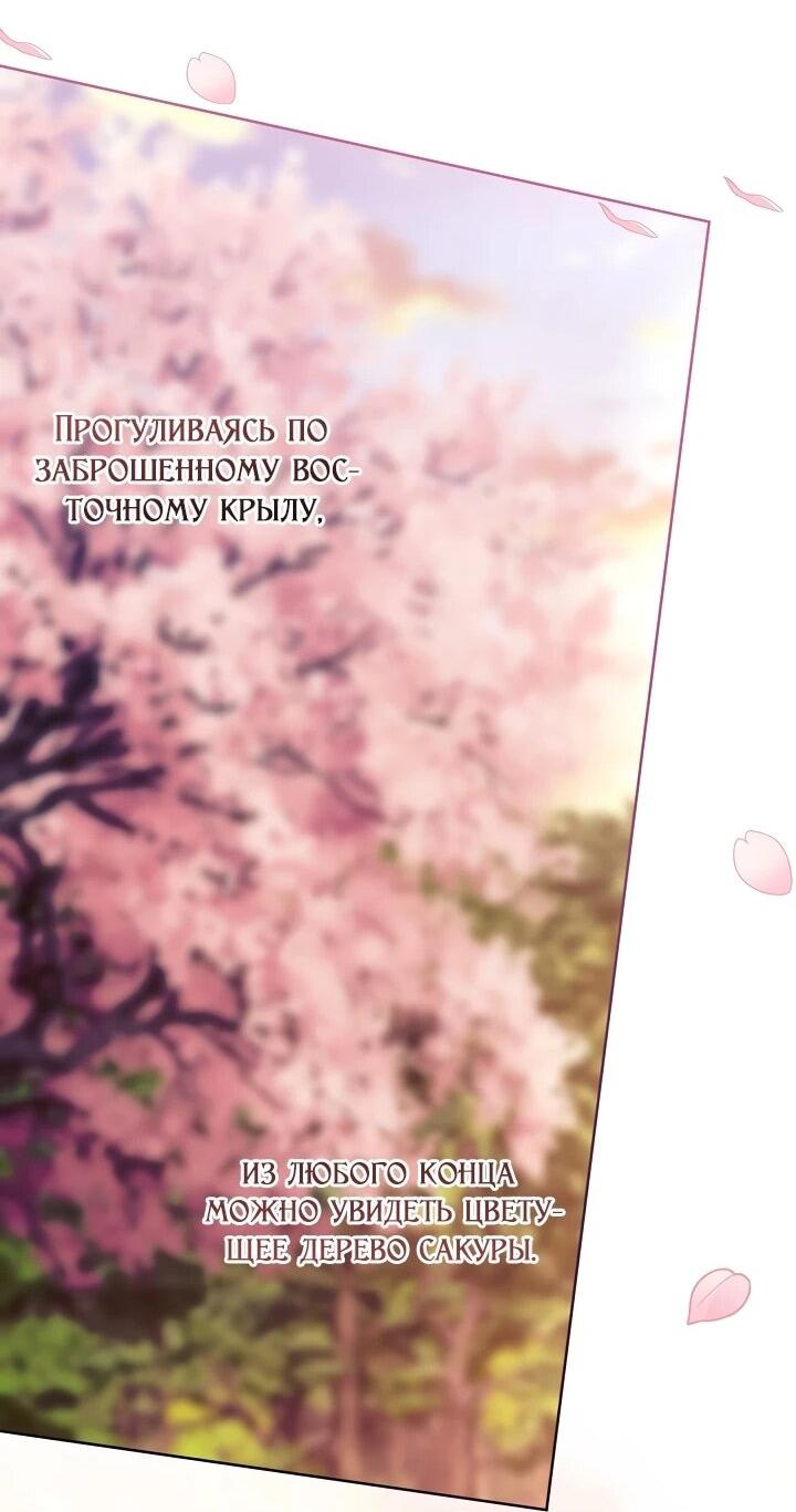 Манга Обречённая малышка-лекарь не скрывает своей гениальности - Глава 14 Страница 47