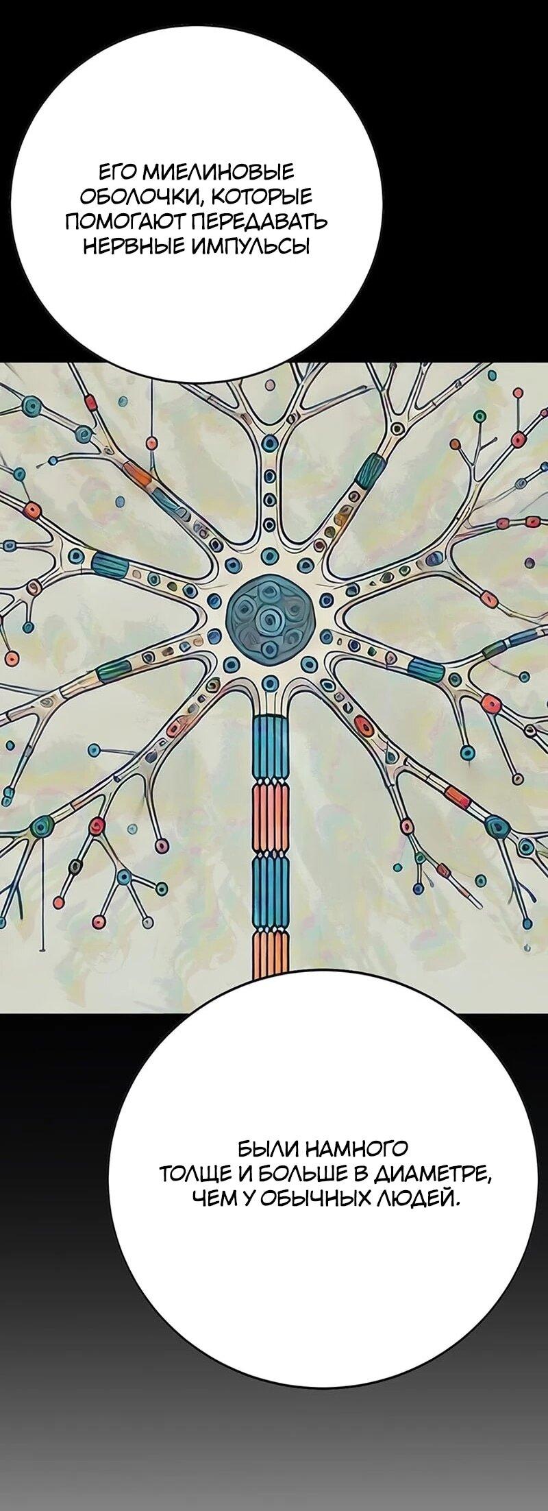 Манга Завоевание старшей школы: война с хулиганами - Глава 38 Страница 11