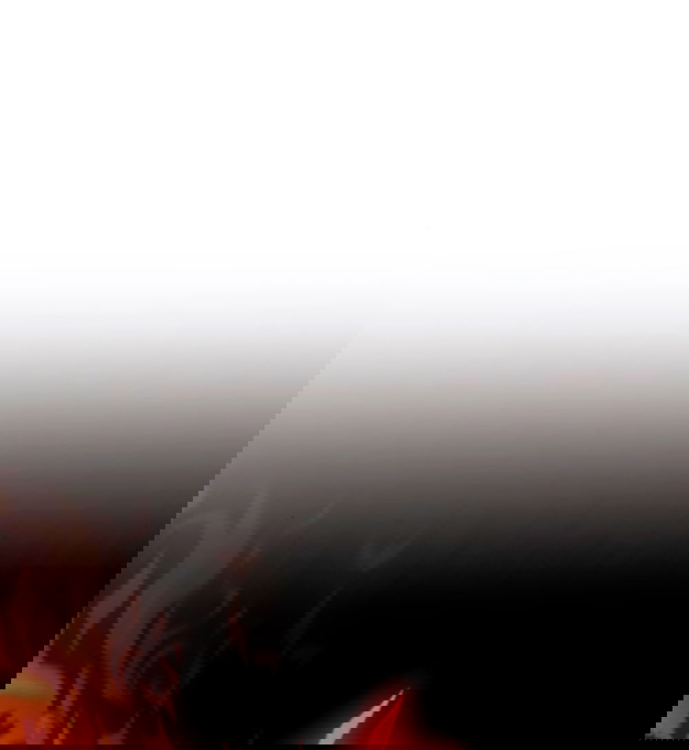 Манга Благородный по имени, вульгарный в глубине души - Глава 18 Страница 83