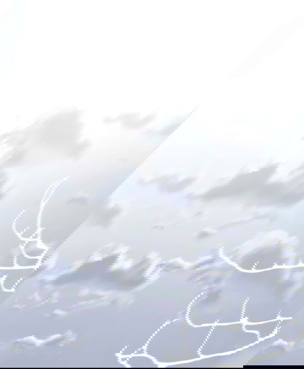 Манга Благородный по имени, вульгарный в глубине души - Глава 6 Страница 95