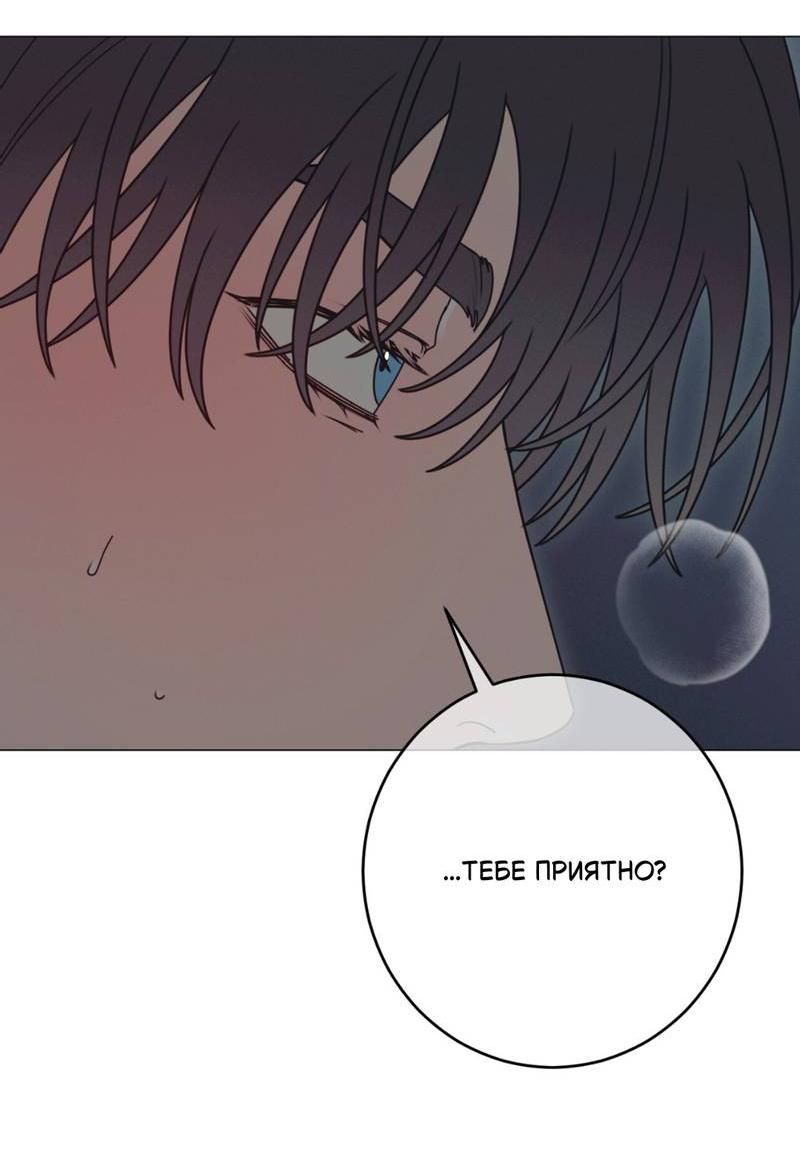Манга Симбиотические отношения между чистоплотным и неспящим - Глава 3 Страница 13