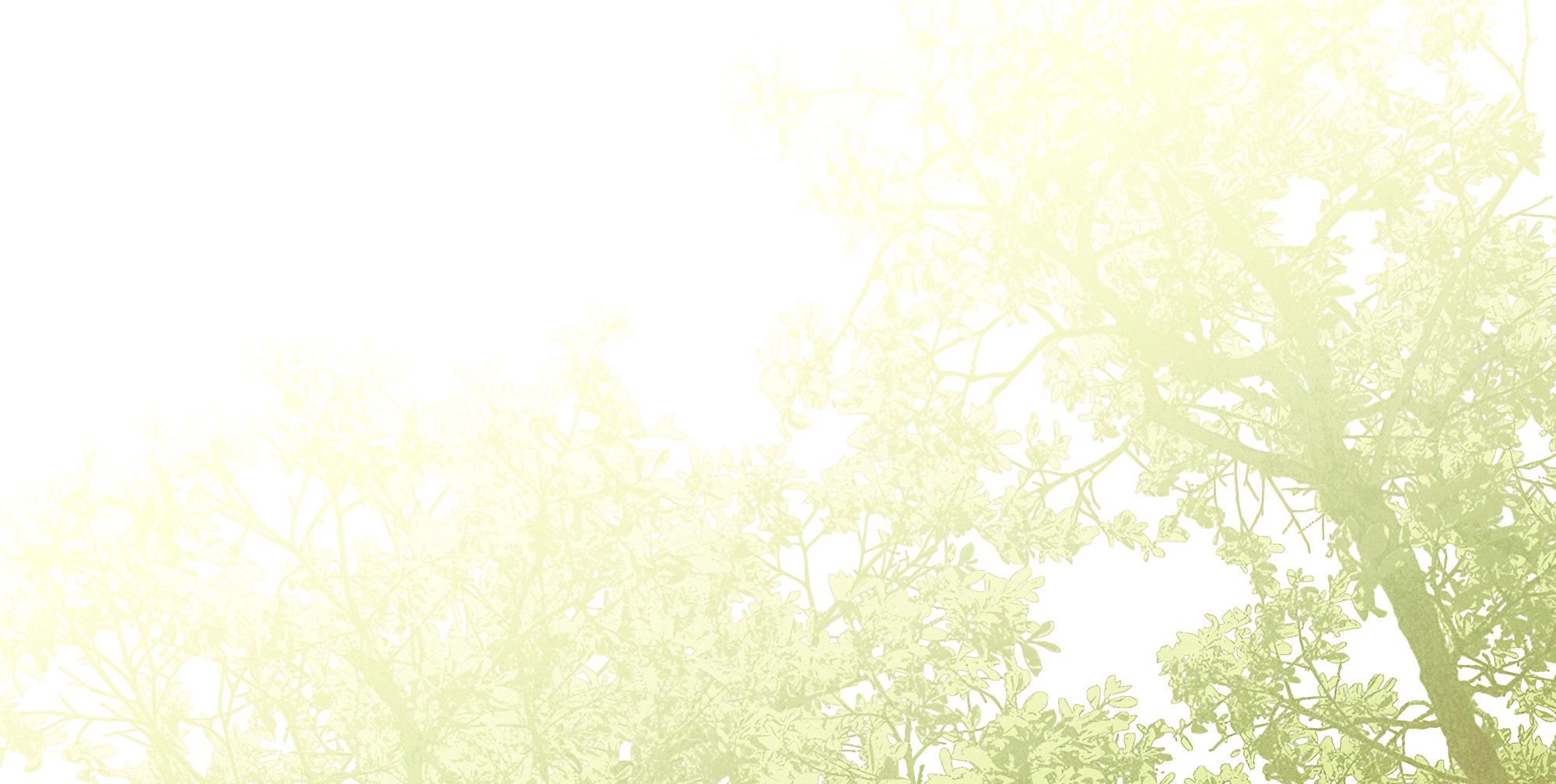 Манга Имуги и дровосек - Глава 15 Страница 3