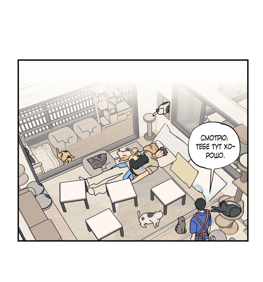 Манга Взаимный отбор - Глава 3 Страница 33