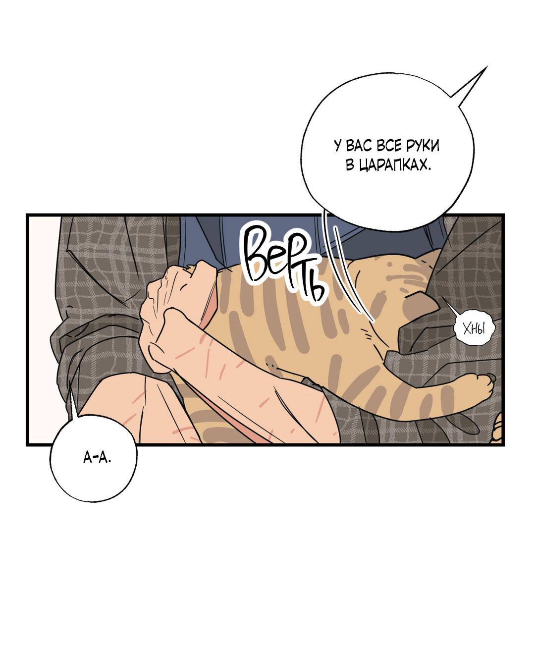 Манга Взаимный отбор - Глава 3 Страница 24