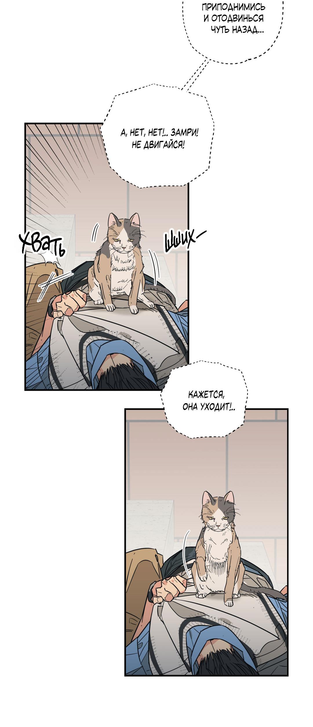 Манга Взаимный отбор - Глава 7 Страница 27