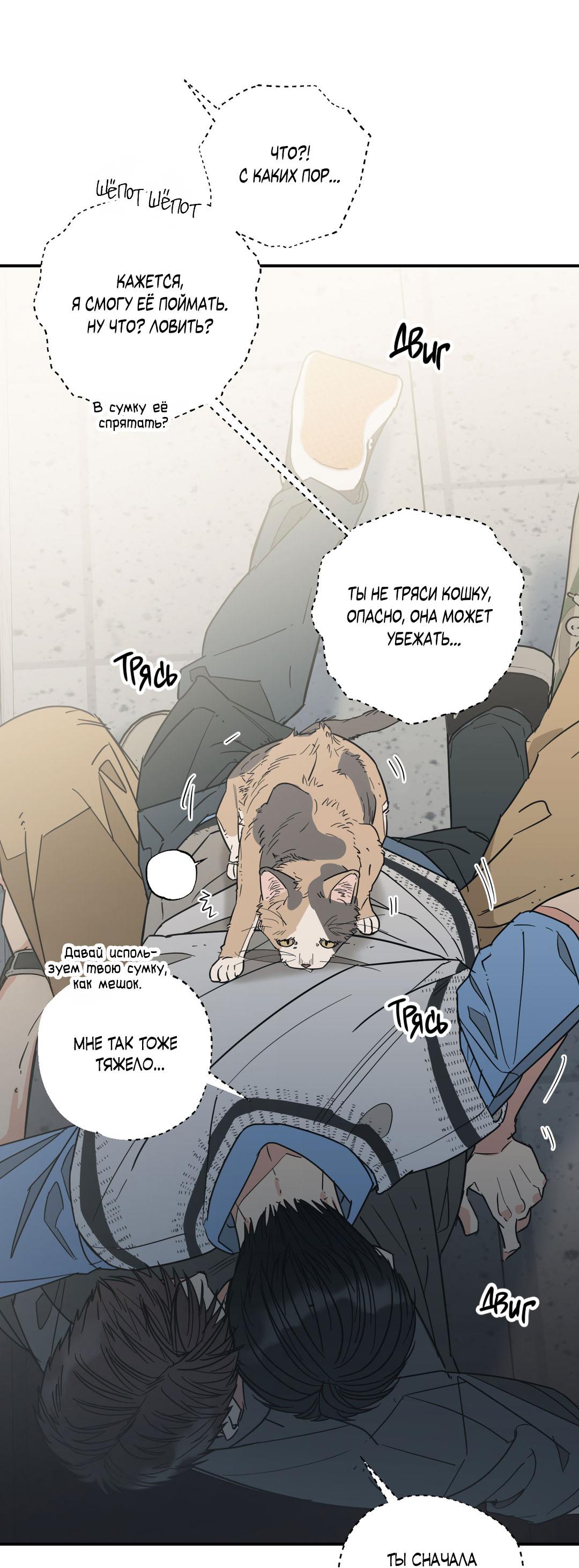 Манга Взаимный отбор - Глава 7 Страница 26