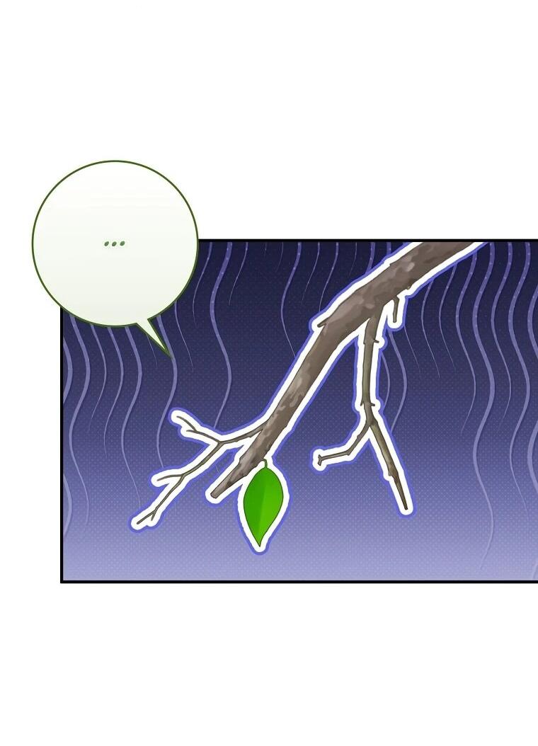 Манга Я стала любимой садовницей Мирового древа - Глава 14 Страница 14