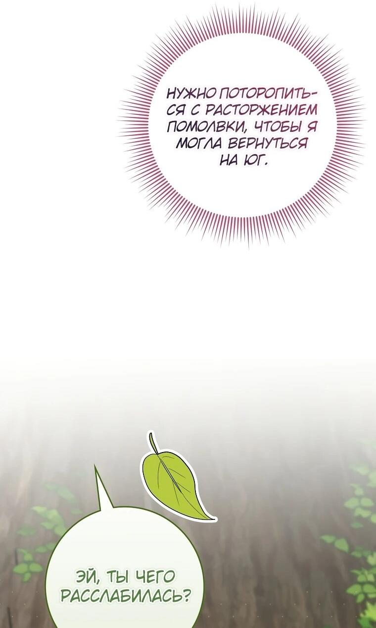 Манга Я стала любимой садовницей Мирового древа - Глава 10 Страница 48