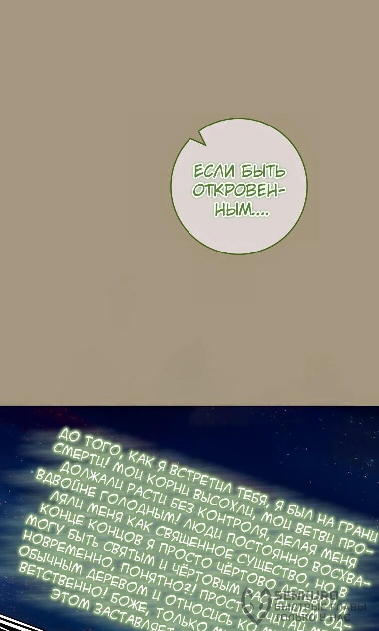 Манга Я стала любимой садовницей Мирового древа - Глава 7 Страница 19