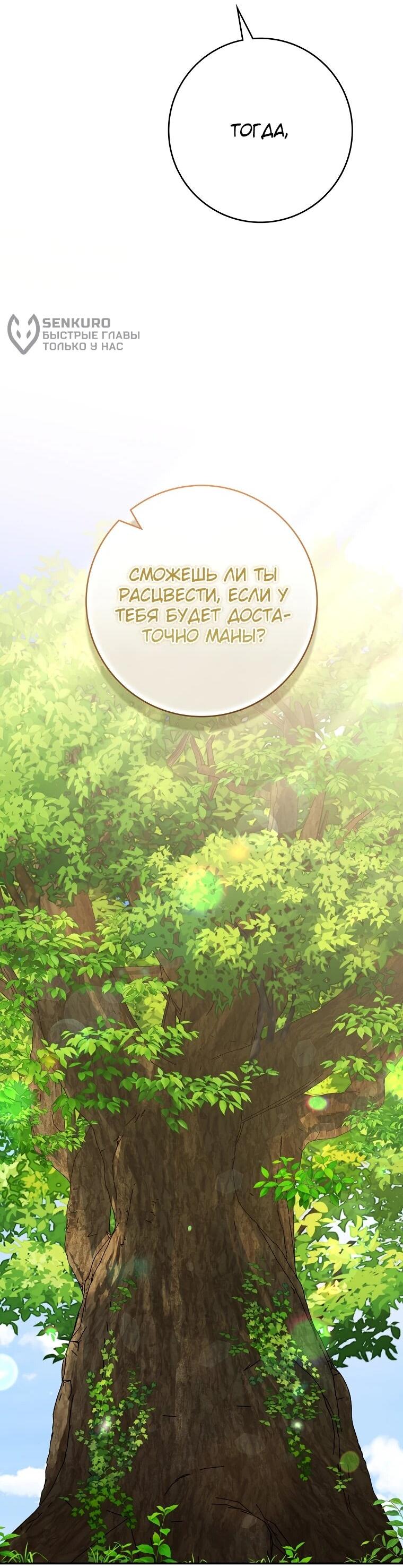 Манга Я стала любимой садовницей Мирового древа - Глава 6 Страница 60