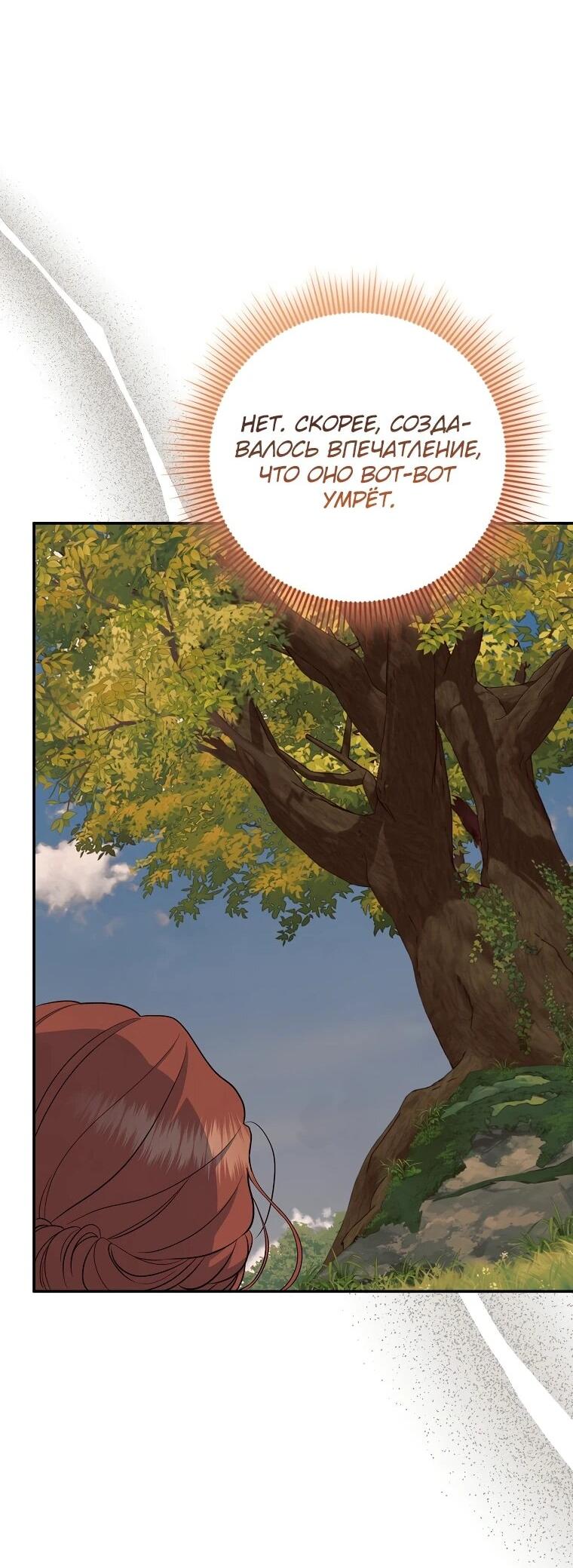 Манга Я стала любимой садовницей Мирового древа - Глава 5 Страница 13