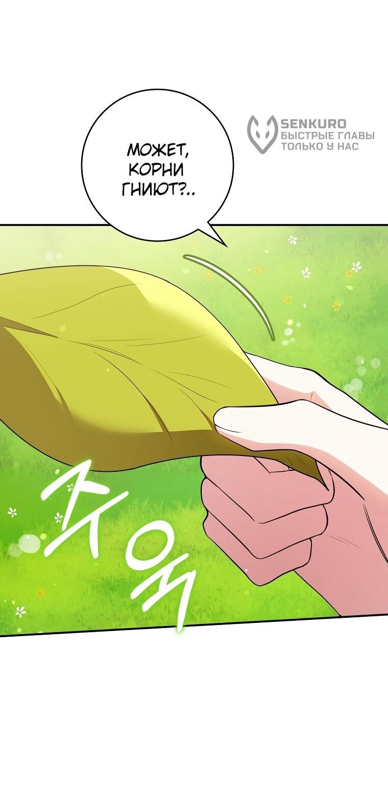 Манга Я стала любимой садовницей Мирового древа - Глава 2 Страница 70