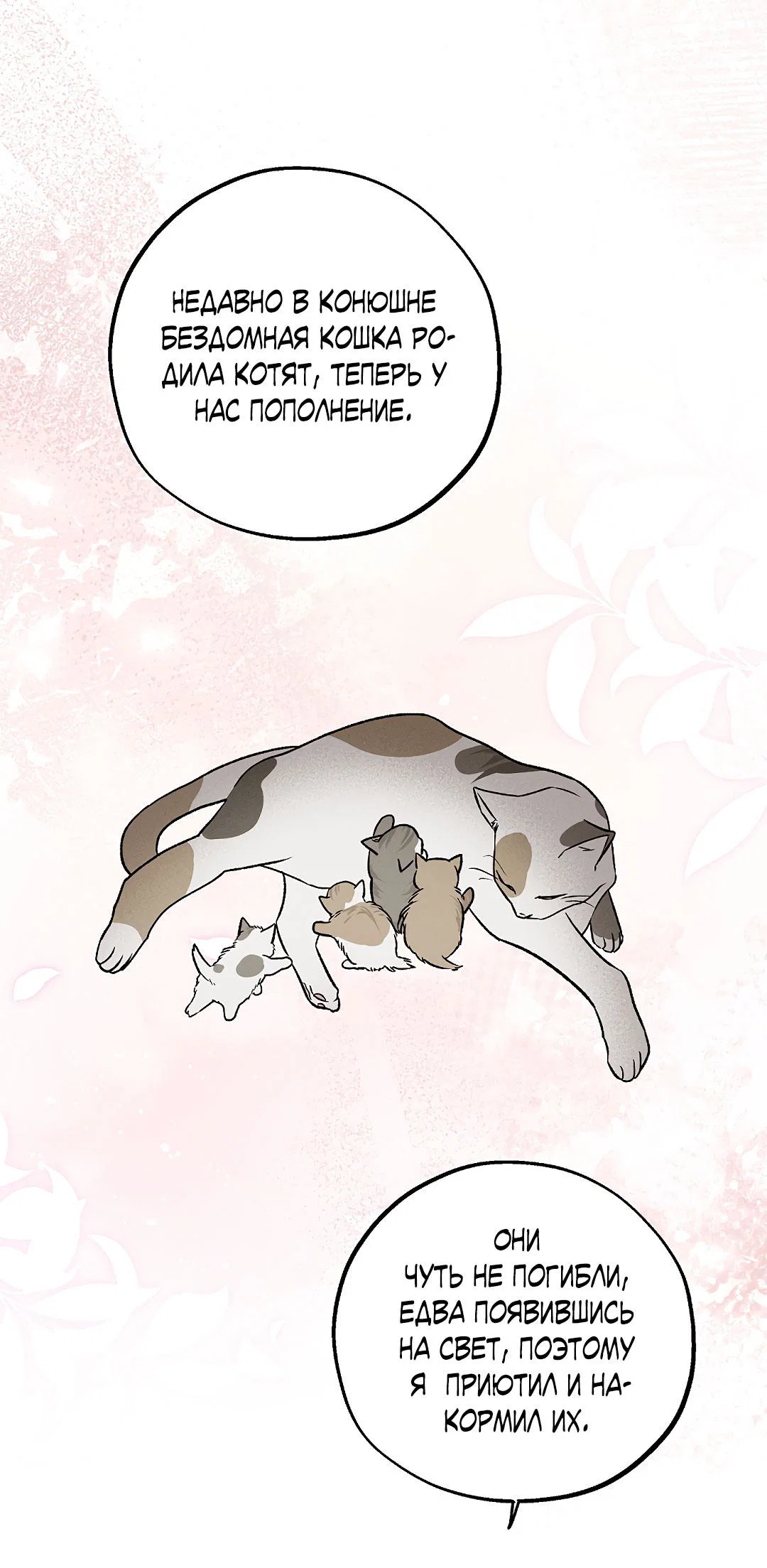 Манга Но Е Джу в другом мире - Глава 16 Страница 52