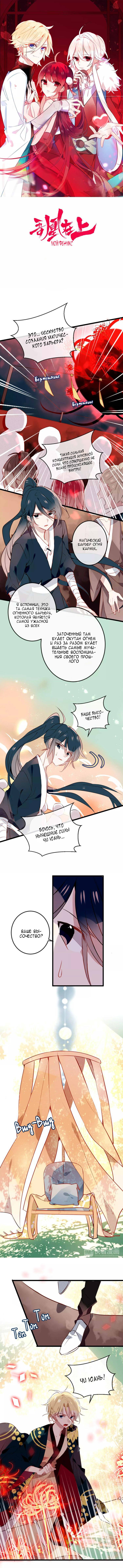 Манга Мой феникс - Глава 13 Страница 1