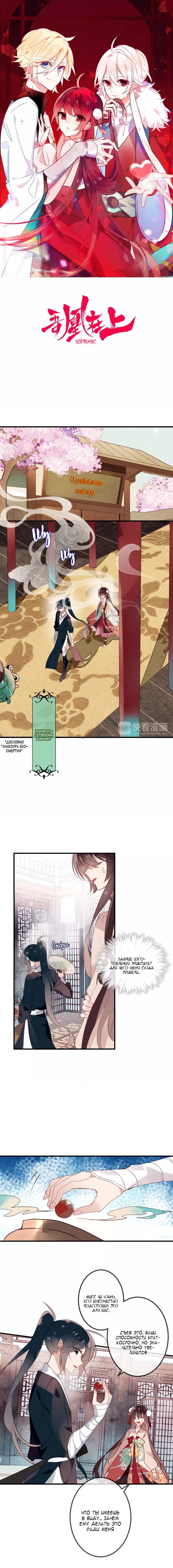 Манга Мой феникс - Глава 8 Страница 1