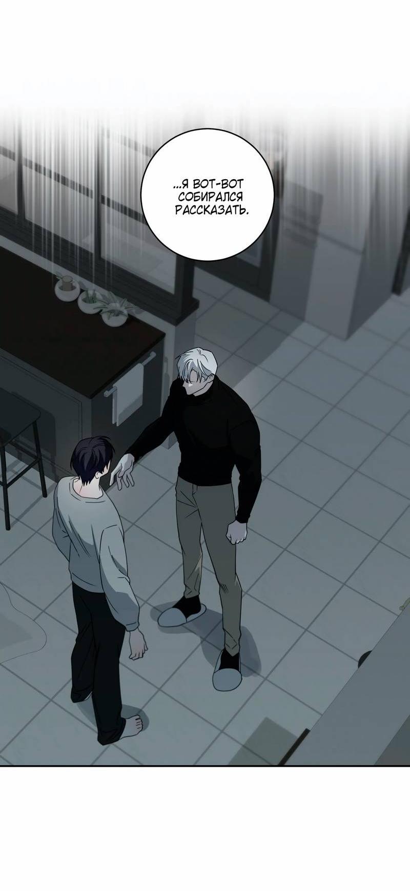 Манга Осколок луны - Глава 14 Страница 9