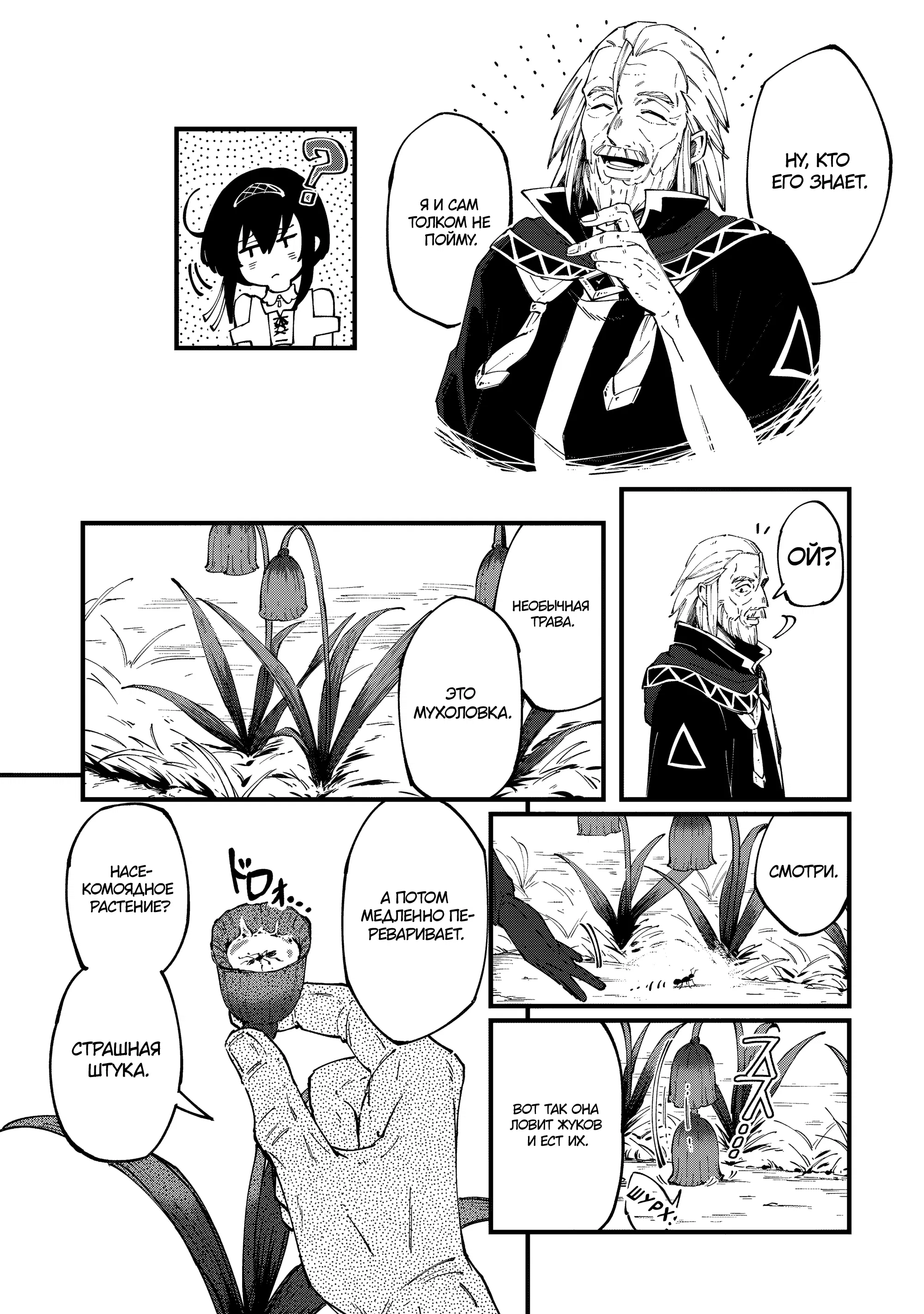 Манга Таинственный старый волшебник, использующий только базовую магию, отправляется в путешествие - Глава 2.1 Страница 9