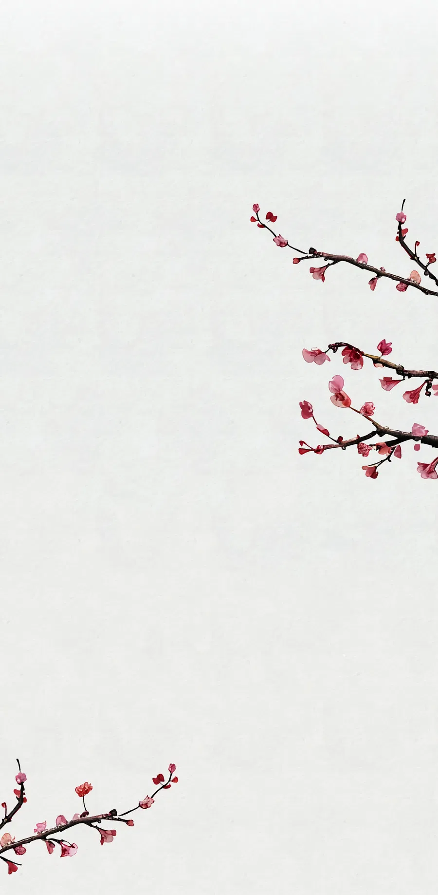 Манга Кара - Глава 12 Страница 6