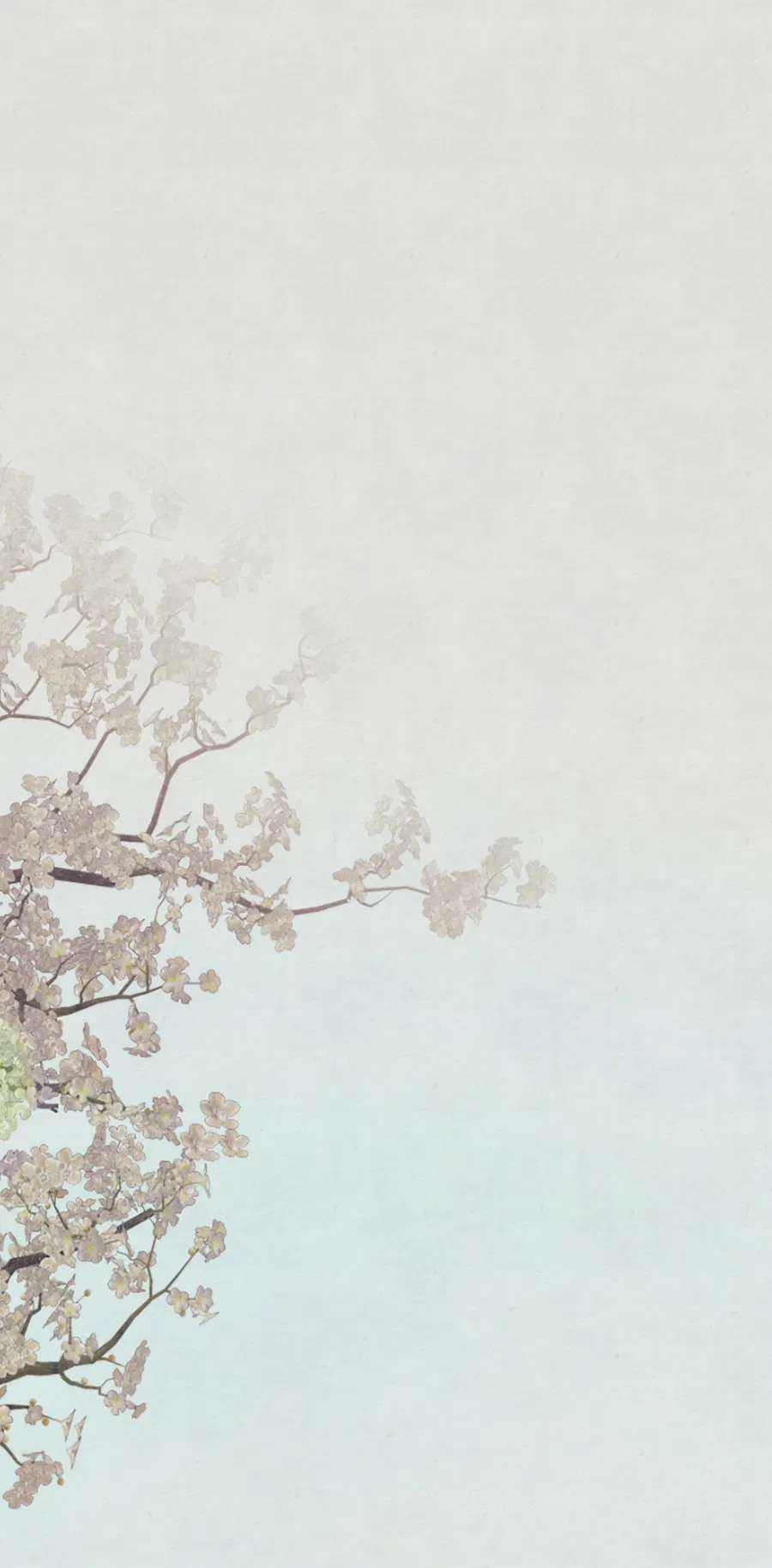 Манга Кара - Глава 2 Страница 1