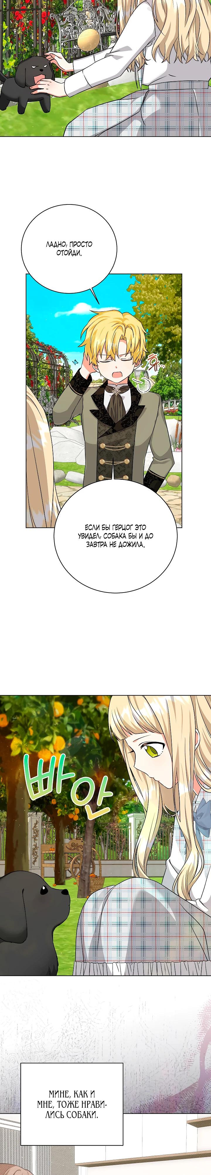 Манга Я незаконно открыла ветеринарную клинику в другом мире - Глава 7 Страница 18