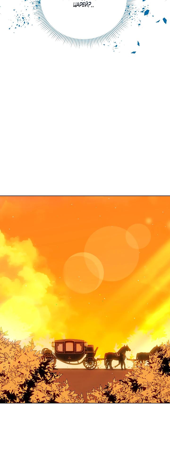 Манга Я незаконно открыла ветеринарную клинику в другом мире - Глава 6 Страница 11