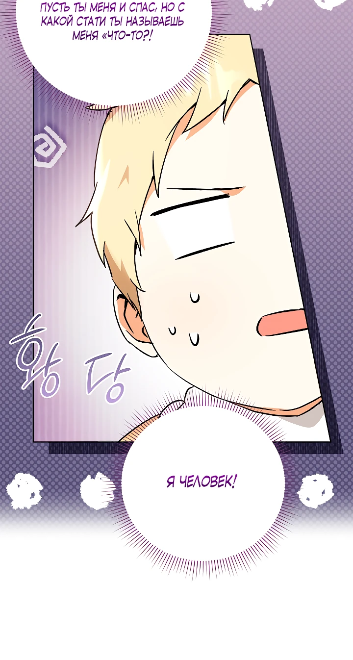 Манга Я незаконно открыла ветеринарную клинику в другом мире - Глава 3 Страница 7