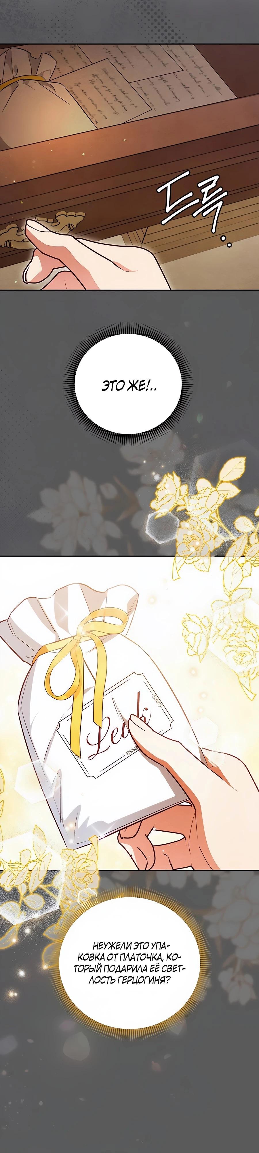 Манга Я — герцогиня по призванию - Глава 25 Страница 27