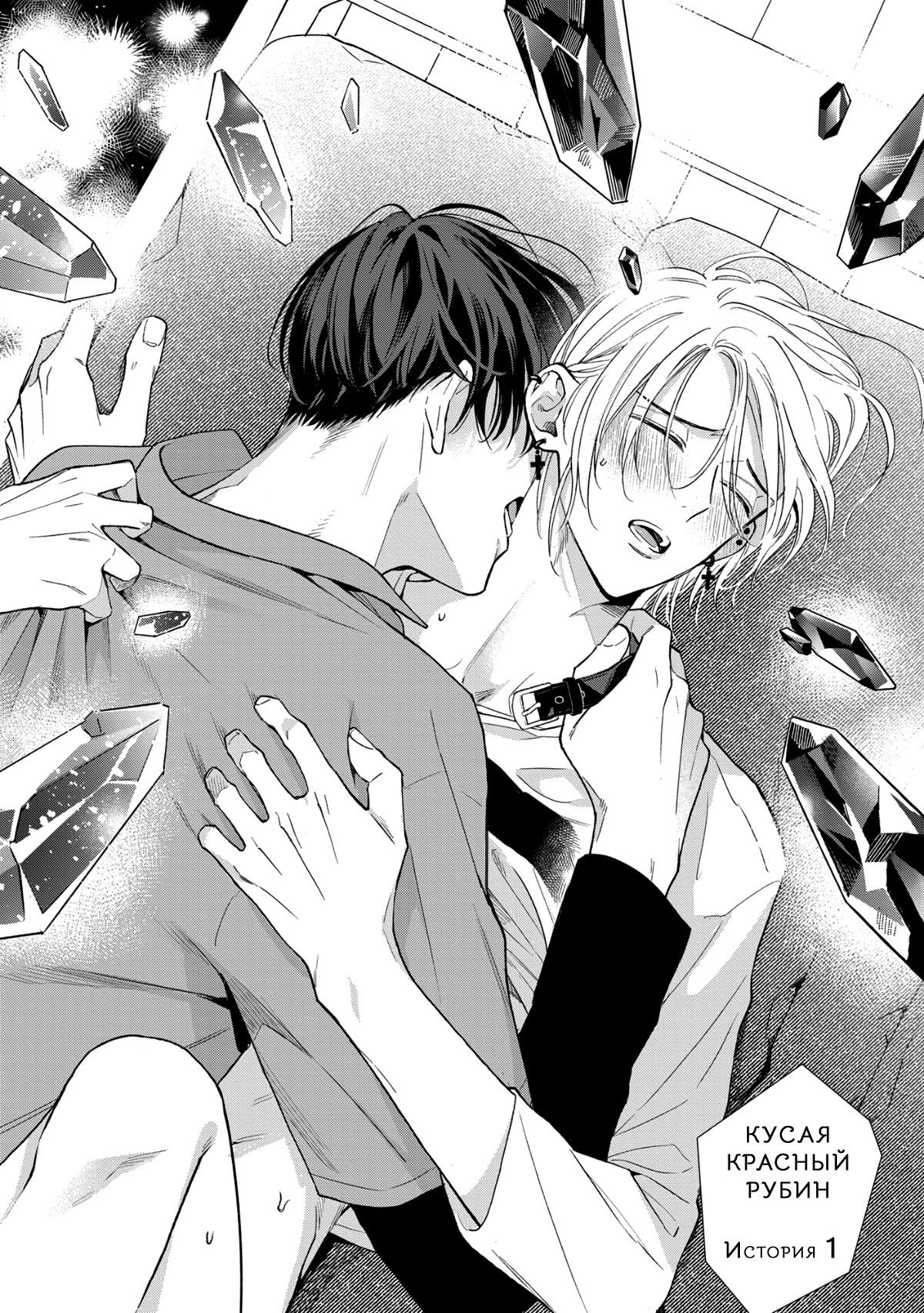 Манга Кусая красный рубин. Отражение - Глава 1 Страница 12